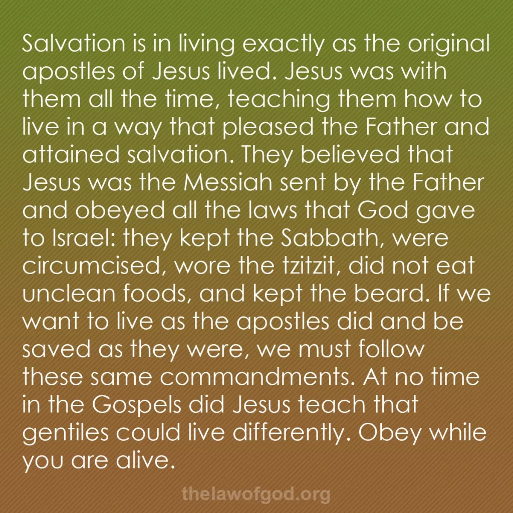b0009 - Post about the Law of God: Salvation is in living exactly as the original apostles of Jesus...
