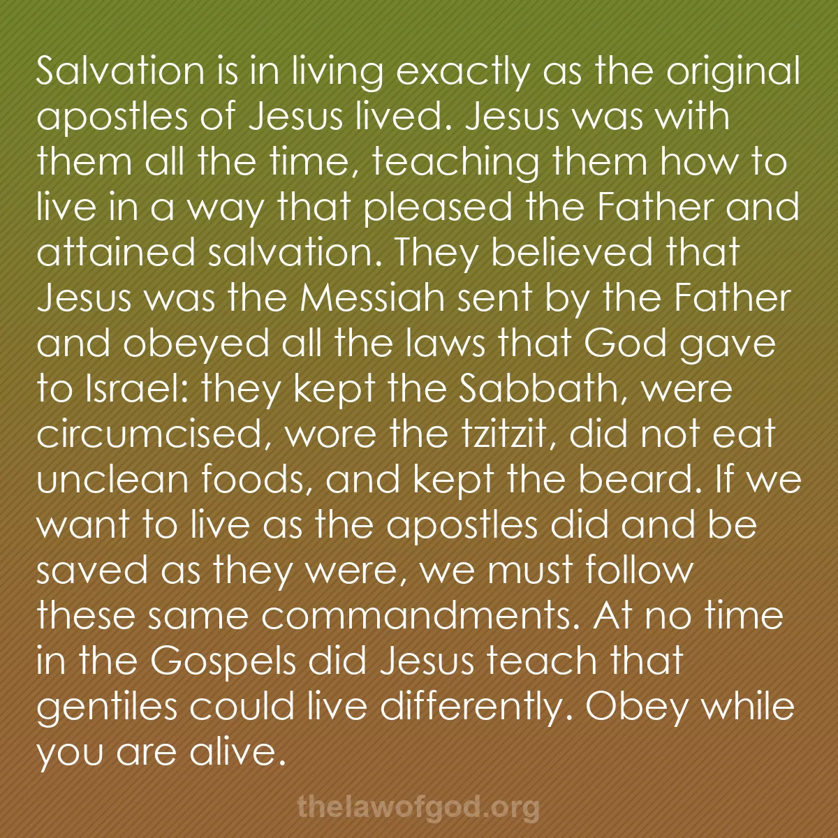 b000 - Post about the Law of God: Salvation is in living exactly as the original apostles of Jesus...