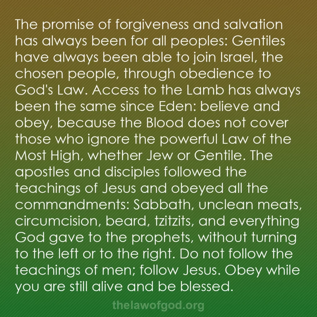 b0016 - Post about the Law of God: The promise of forgiveness and salvation has always been for...