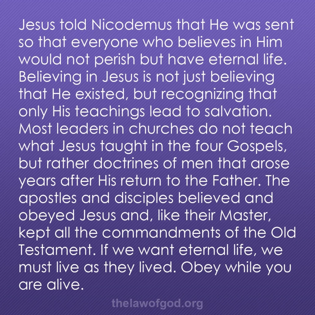 b0038 - Post about the Law of God: Jesus told Nicodemus that He was sent so that everyone who believes...