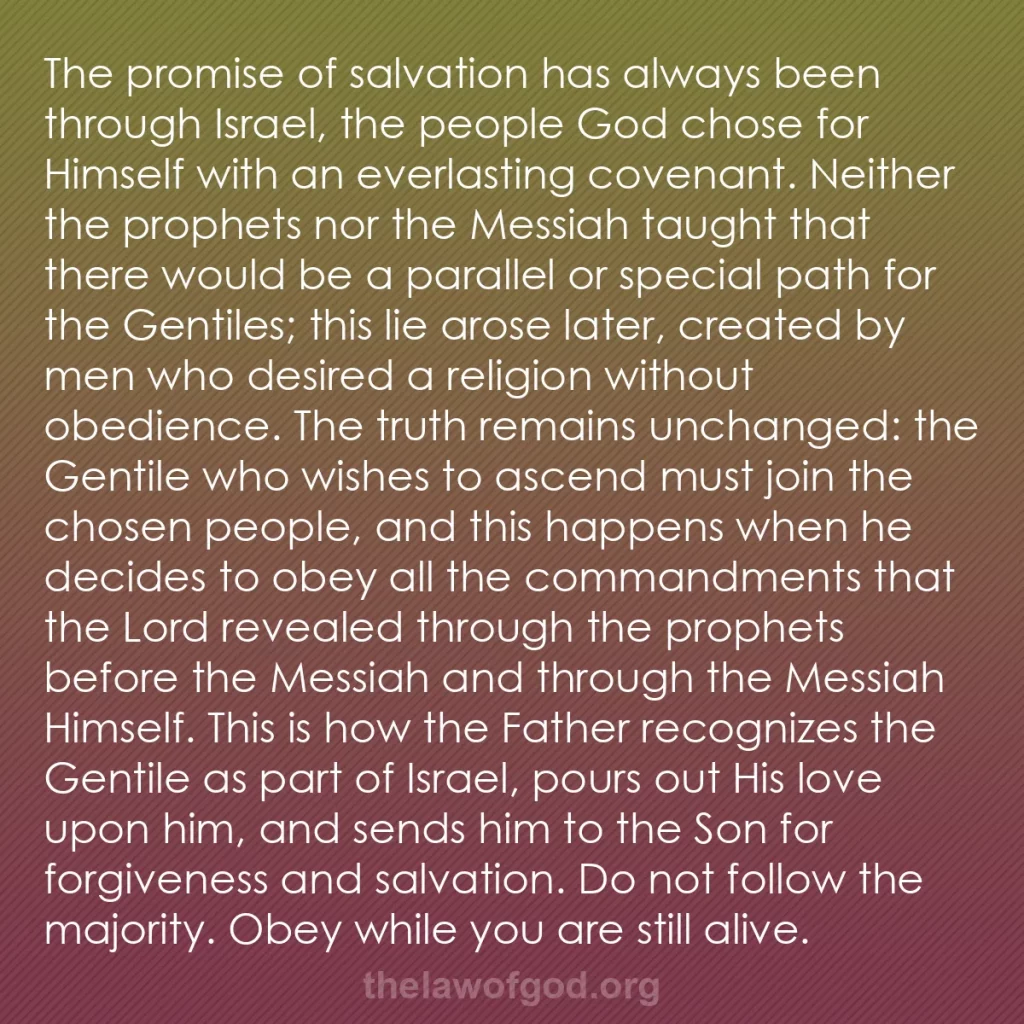 b0048 - Post about the Law of God: The promise of salvation has always been through Israel, the...