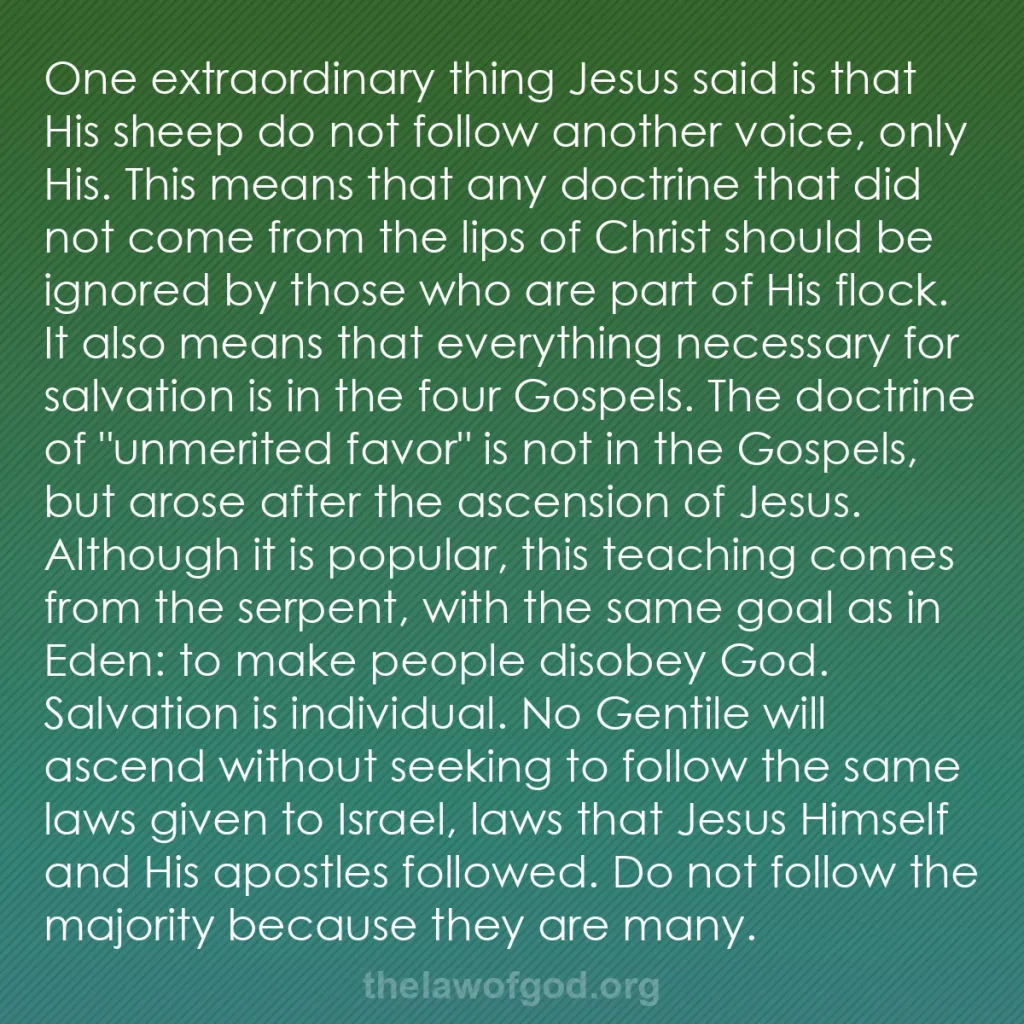 b0050 - Post about the Law of God: One extraordinary thing Jesus said is that His sheep do not...