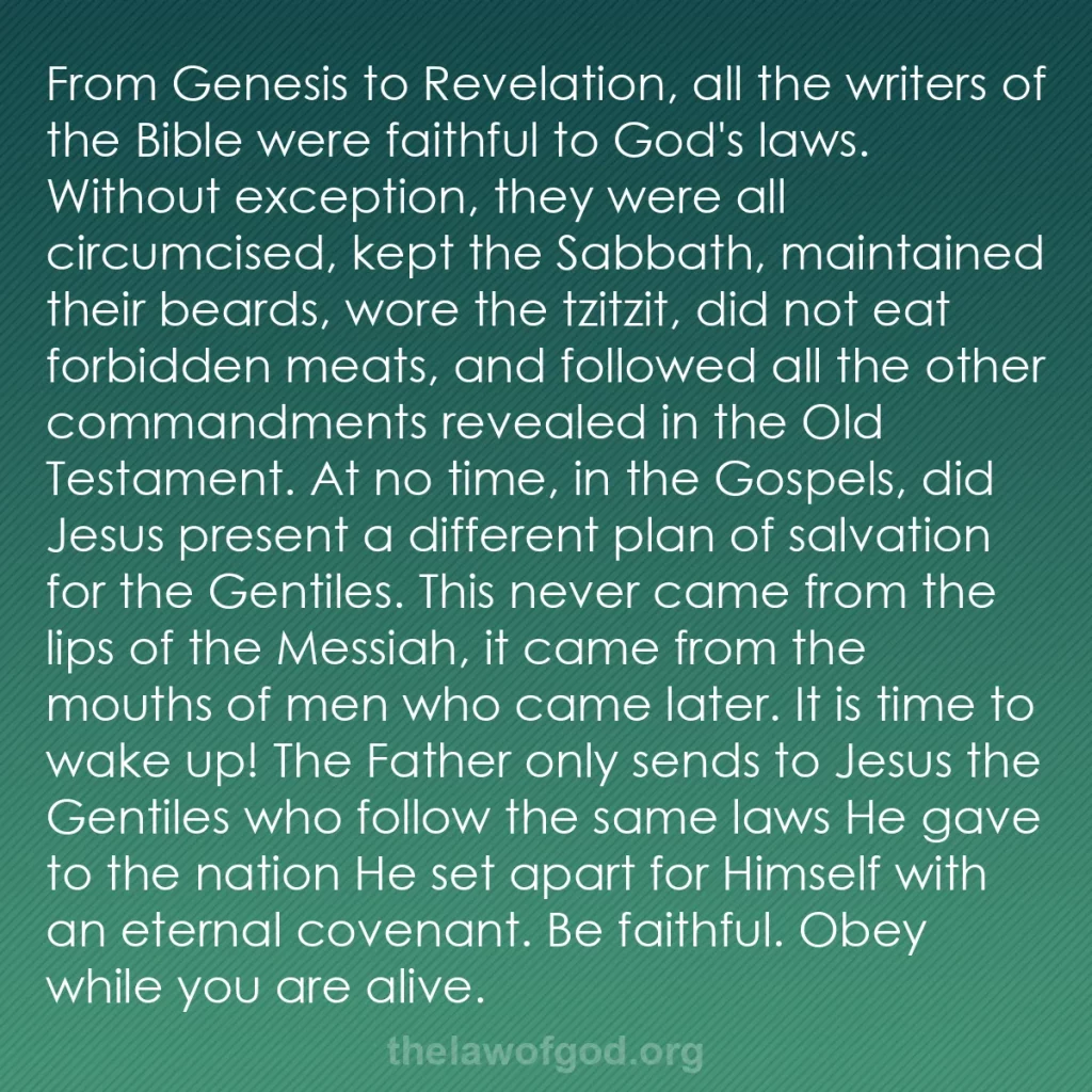 b0065 - Post about the Law of God: From Genesis to Revelation, all the writers of the Bible were...