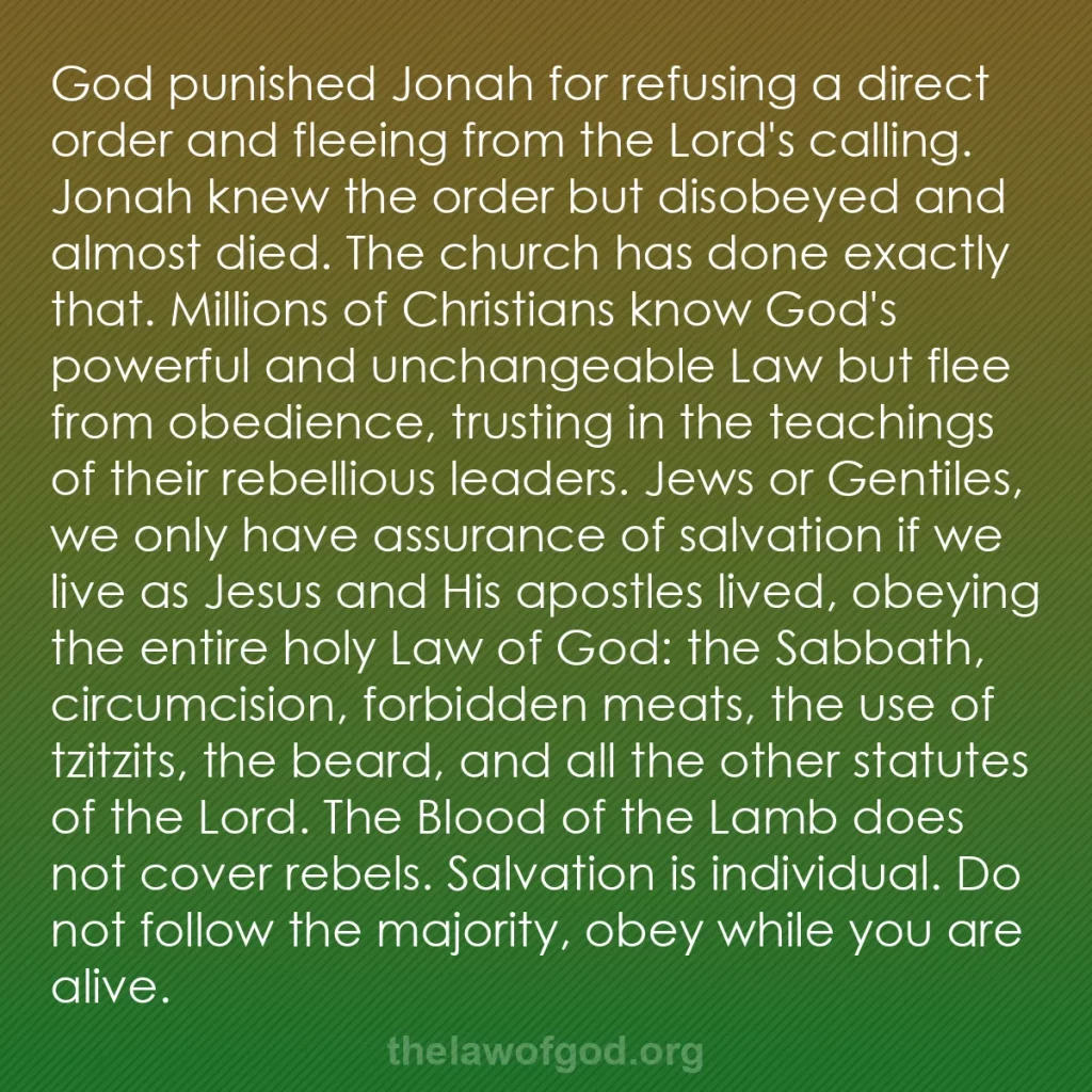 b0076 - Post about the Law of God: God punished Jonah for refusing a direct order and fleeing from...