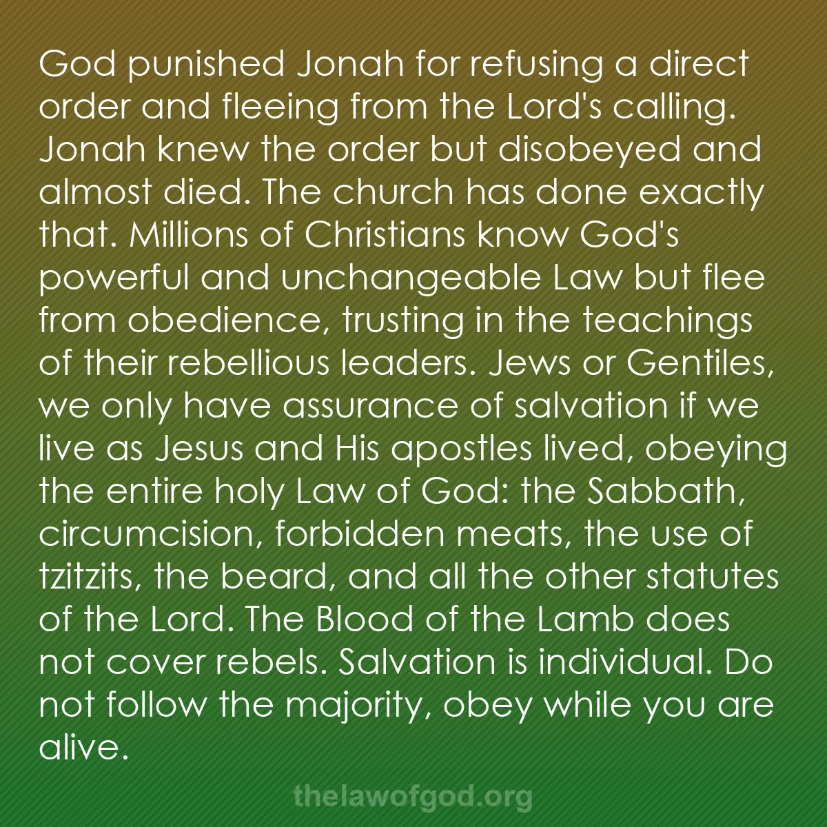 b007 - Post about the Law of God: God punished Jonah for refusing a direct order and fleeing from...