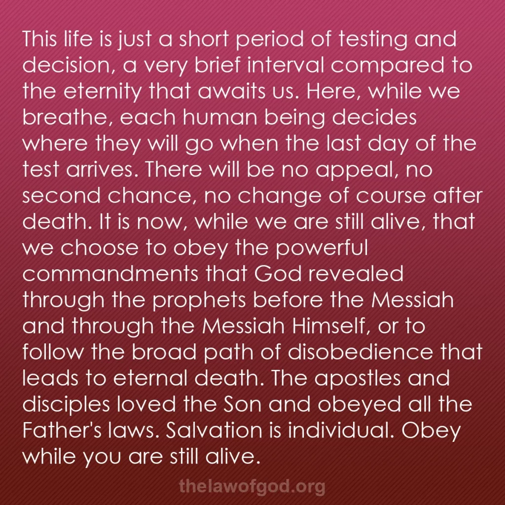 b0079 - Post about the Law of God: This life is just a short period of testing and decision, a...