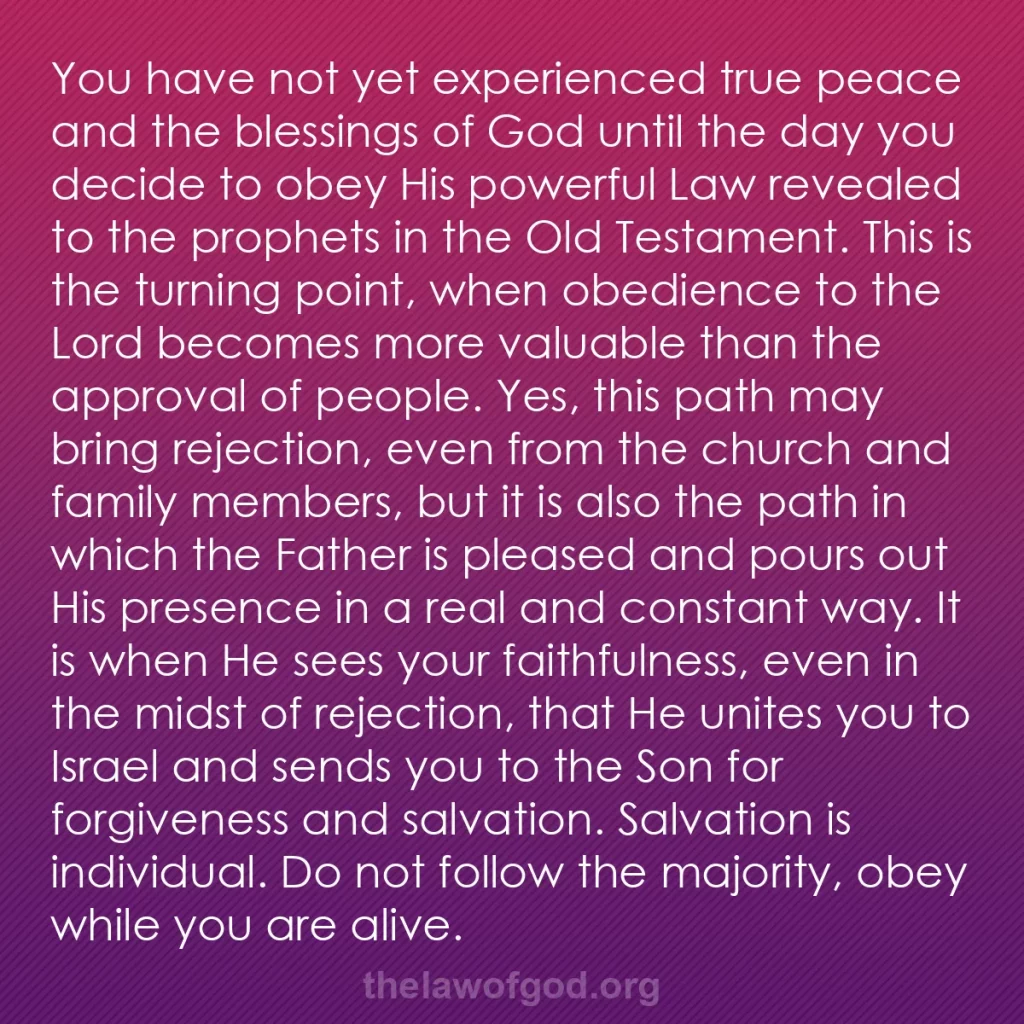 b0081 - Post about the Law of God: You have not yet experienced true peace and the blessings of...
