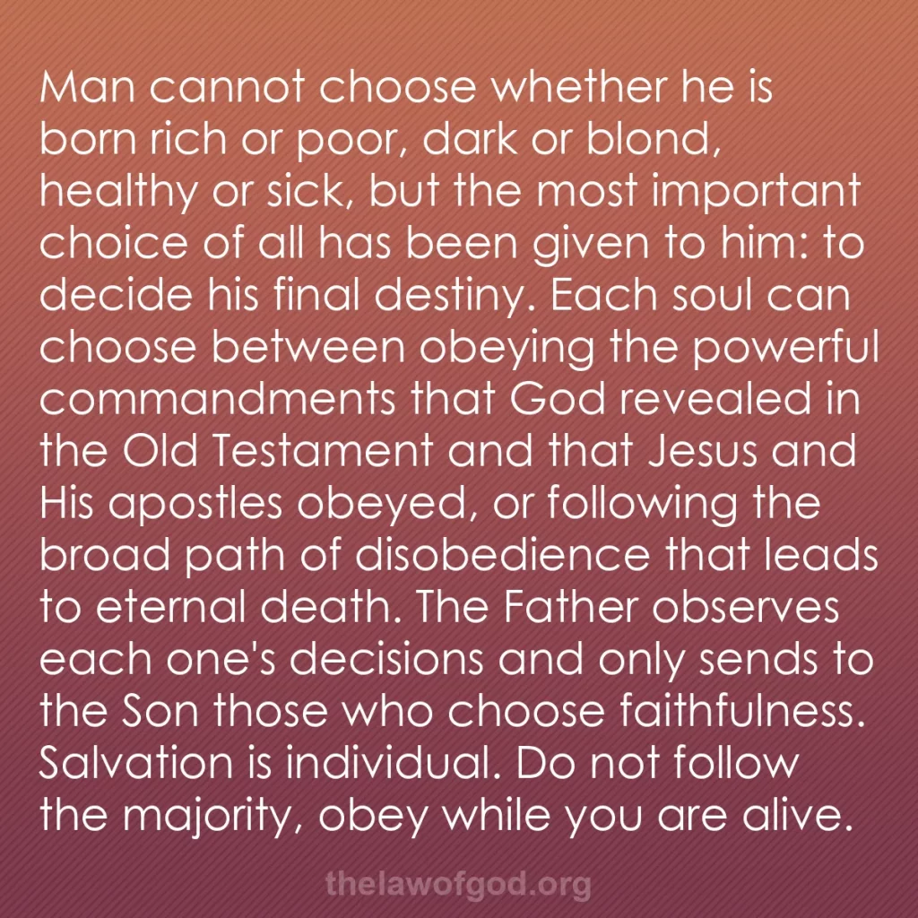 b0086 - Post about the Law of God: Man cannot choose whether he is born rich or poor, dark or blond,...