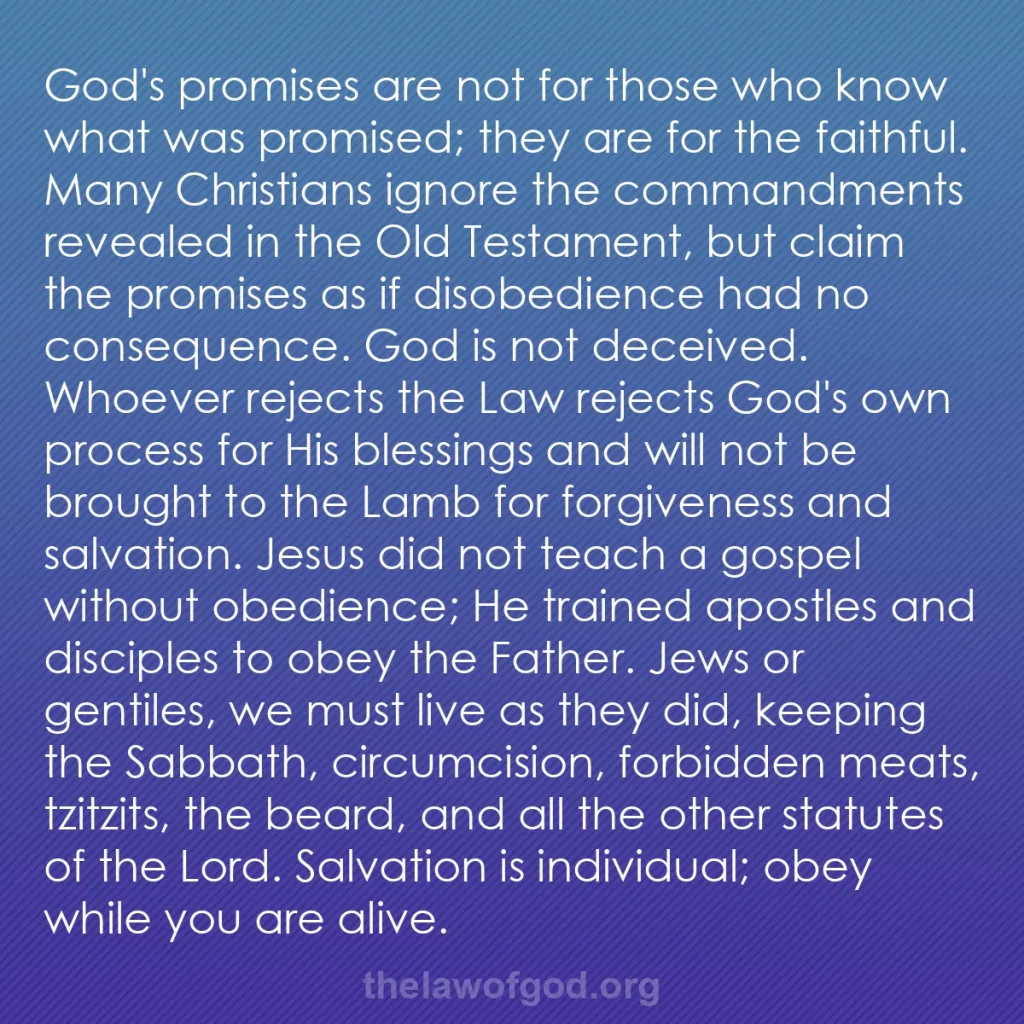 b0087 - Post about the Law of God: God's promises are not for those who know what was promised;...