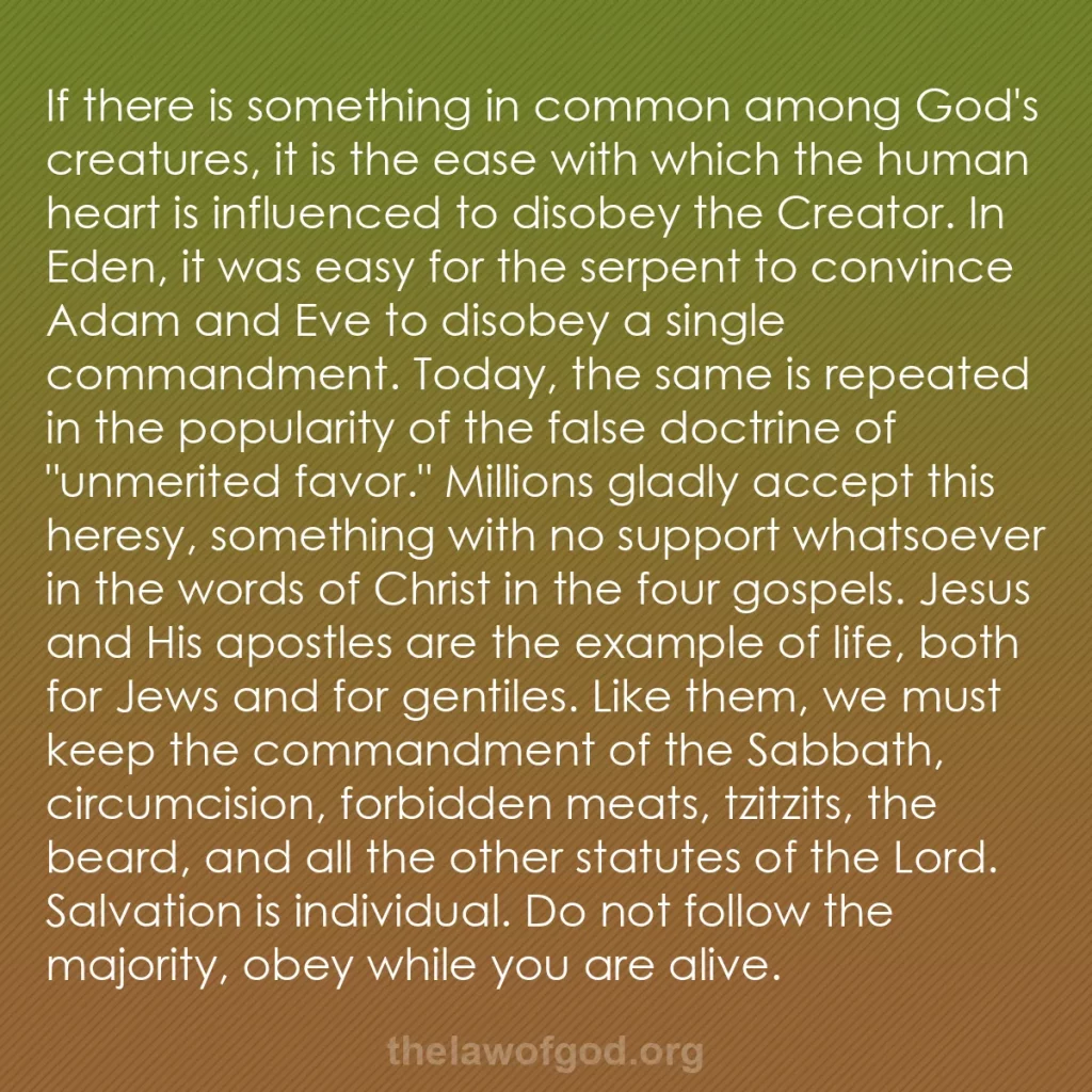 b0089 - Post about the Law of God: If there is something in common among God's creatures, it is...