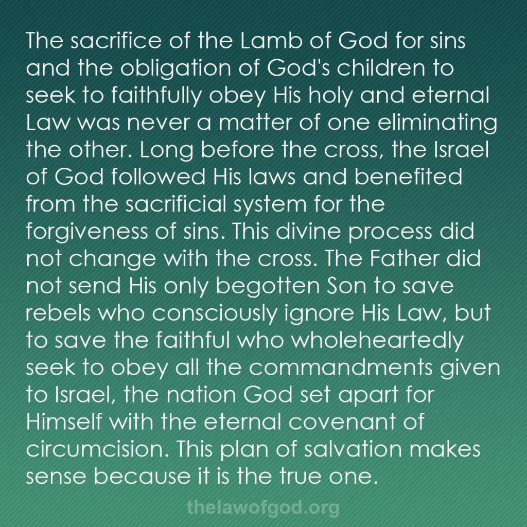 b0105 - Post about the Law of God: The sacrifice of the Lamb of God for sins and the obligation...