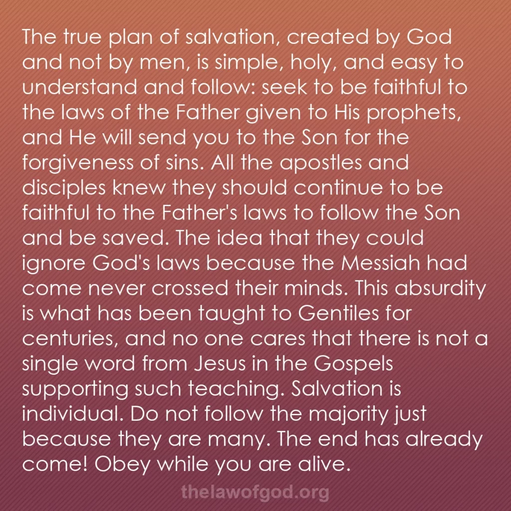 b0106 - Post about the Law of God: The true plan of salvation, created by God and not by men, is...