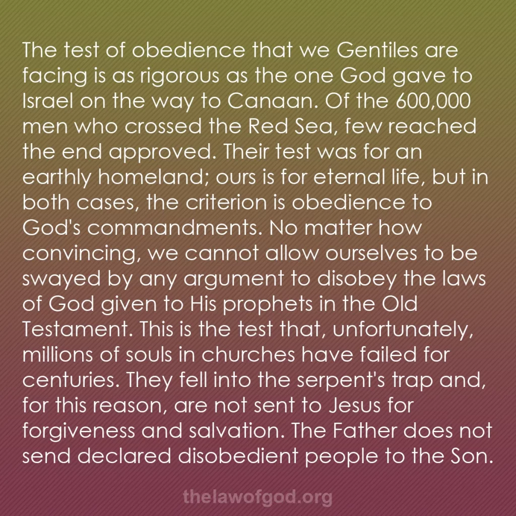 b0108 - Post about the Law of God: The test of obedience that we Gentiles are facing is as rigorous...