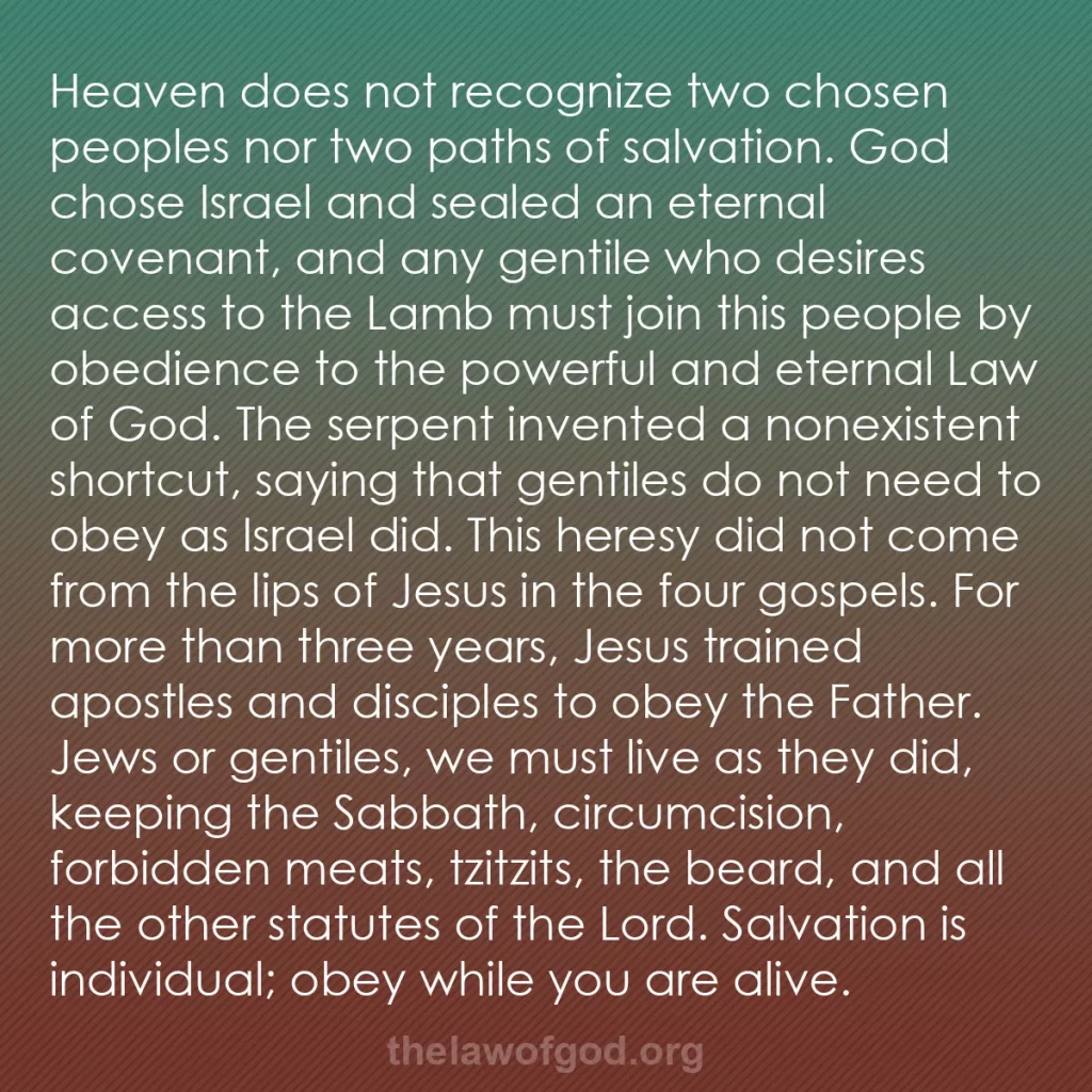 b0133 - Post about the Law of God: Heaven does not recognize two chosen peoples nor two paths of...