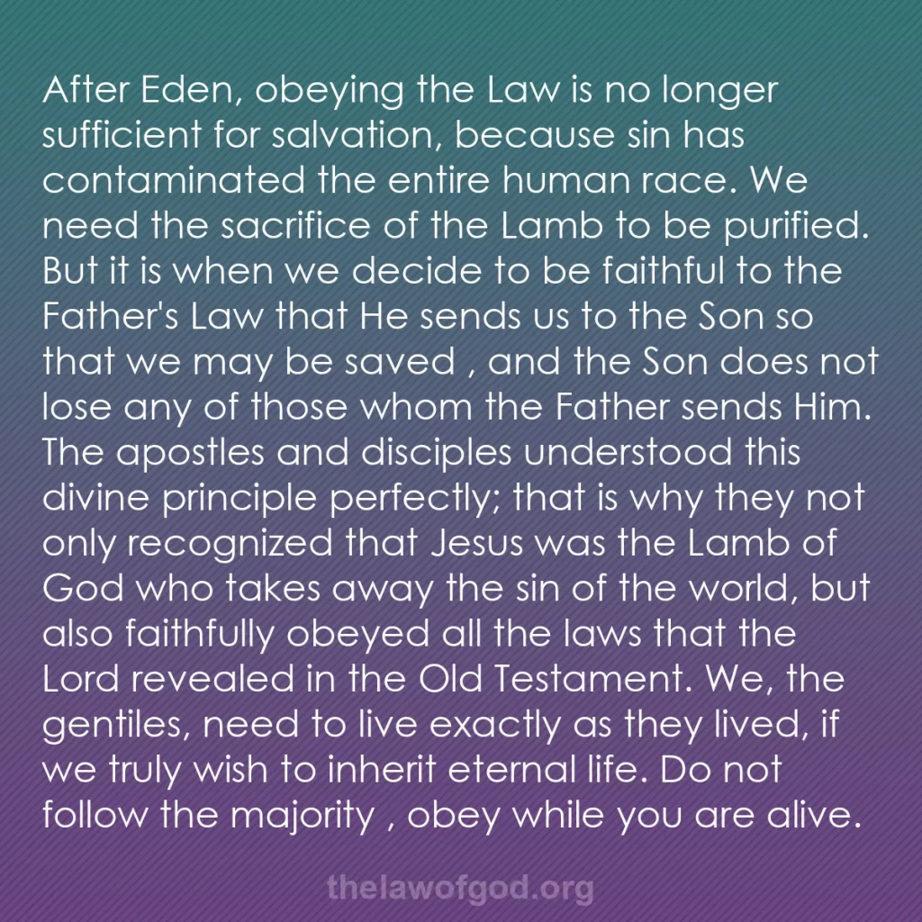 b0144 - Post about the Law of God: After Eden, obeying the Law is no longer sufficient for salvation,...
