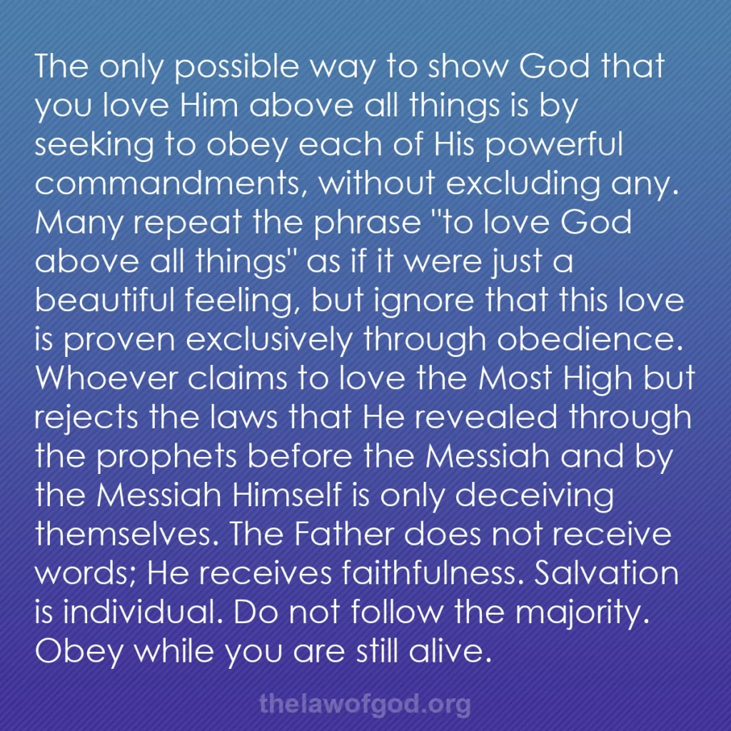 b0167 - Post about the Law of God: The only possible way to show God that you love Him above all...