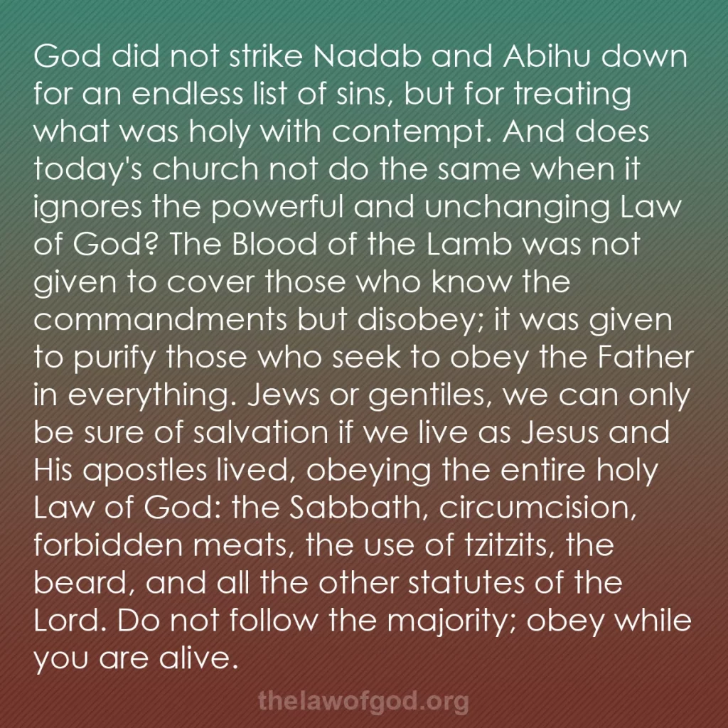 b0173 - Post about the Law of God: God did not strike Nadab and Abihu down for an endless list...