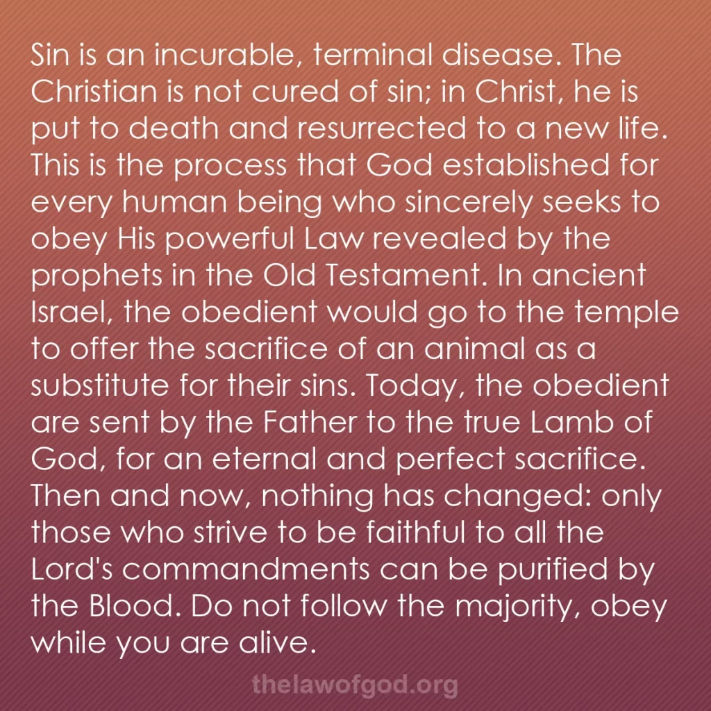 b0186 - Post about the Law of God: Sin is an incurable, terminal disease. The Christian is not...