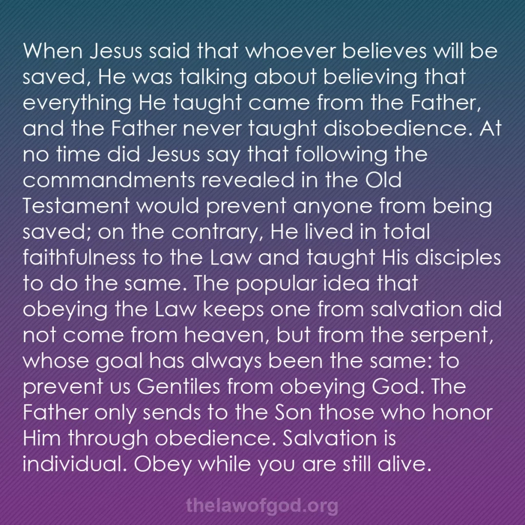 b0194 - Post about the Law of God: When Jesus said that whoever believes will be saved, He was...