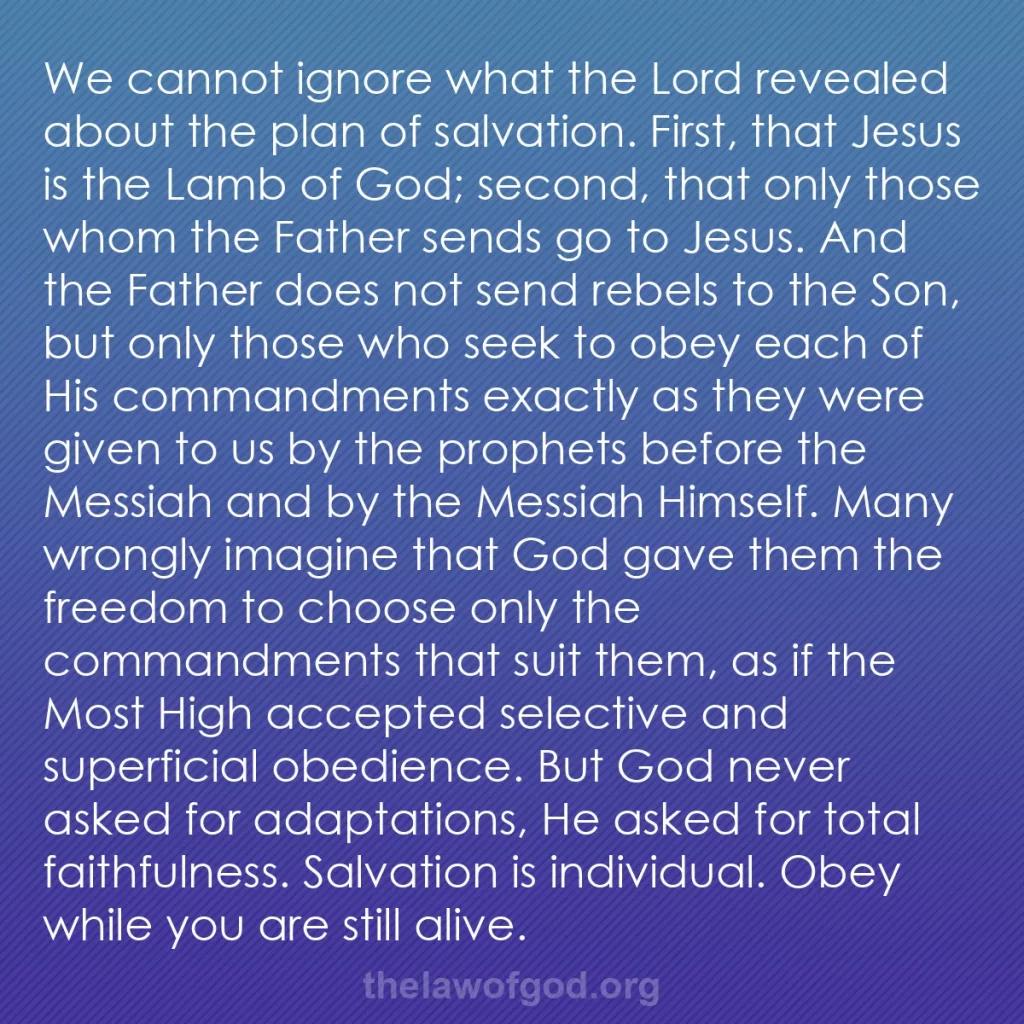 b0207 - Post about the Law of God: We cannot ignore what the Lord revealed about the plan of salvation....