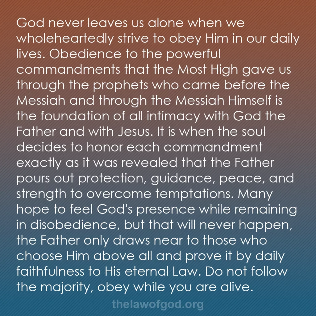 b0212 - Post about the Law of God: God never leaves us alone when we wholeheartedly strive to obey...