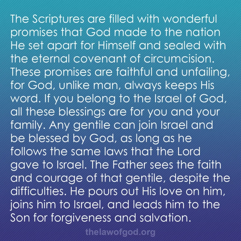 b0215 - Post about the Law of God: The Scriptures are filled with wonderful promises that God made...