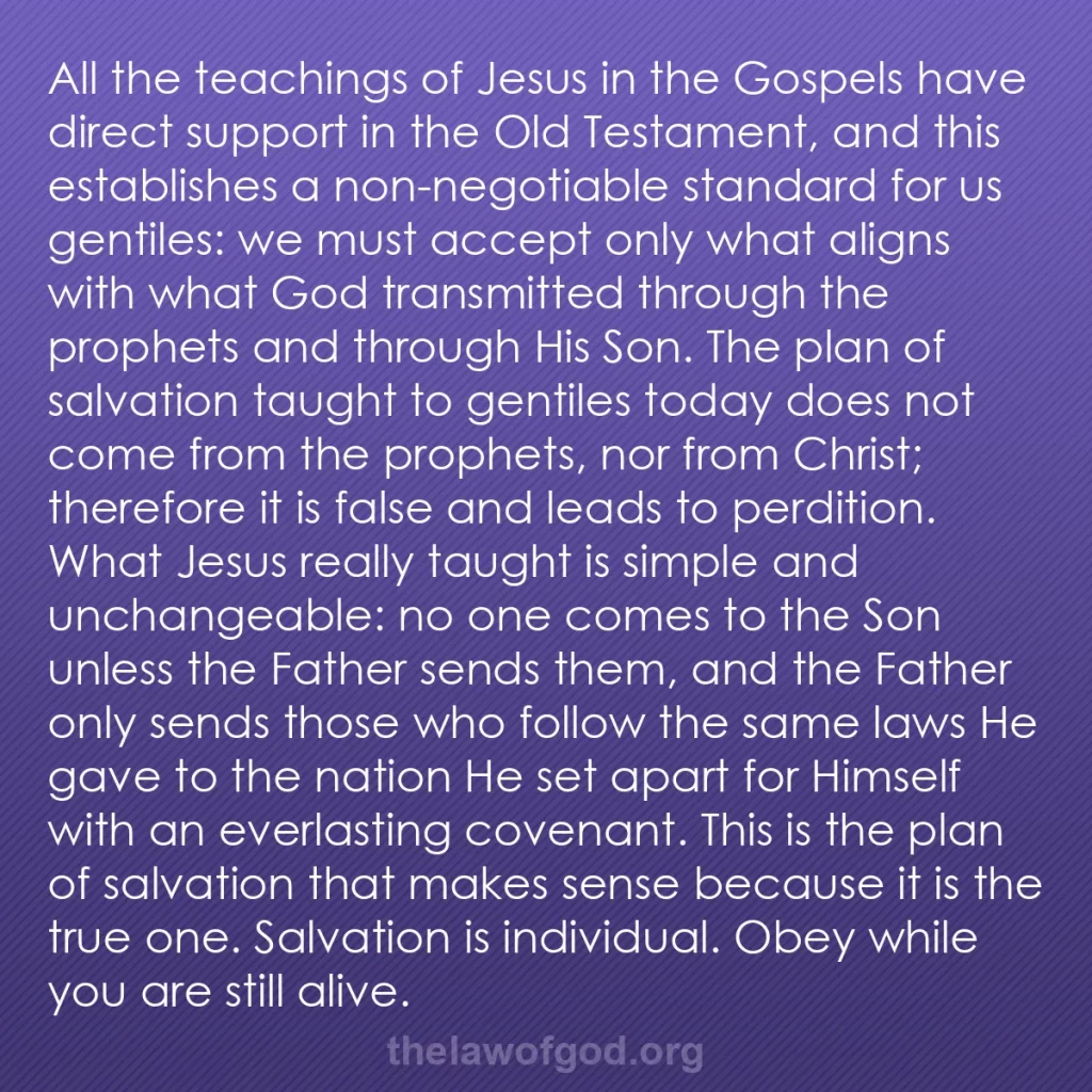 b0218 - Post about the Law of God: All the teachings of Jesus in the Gospels have direct support...