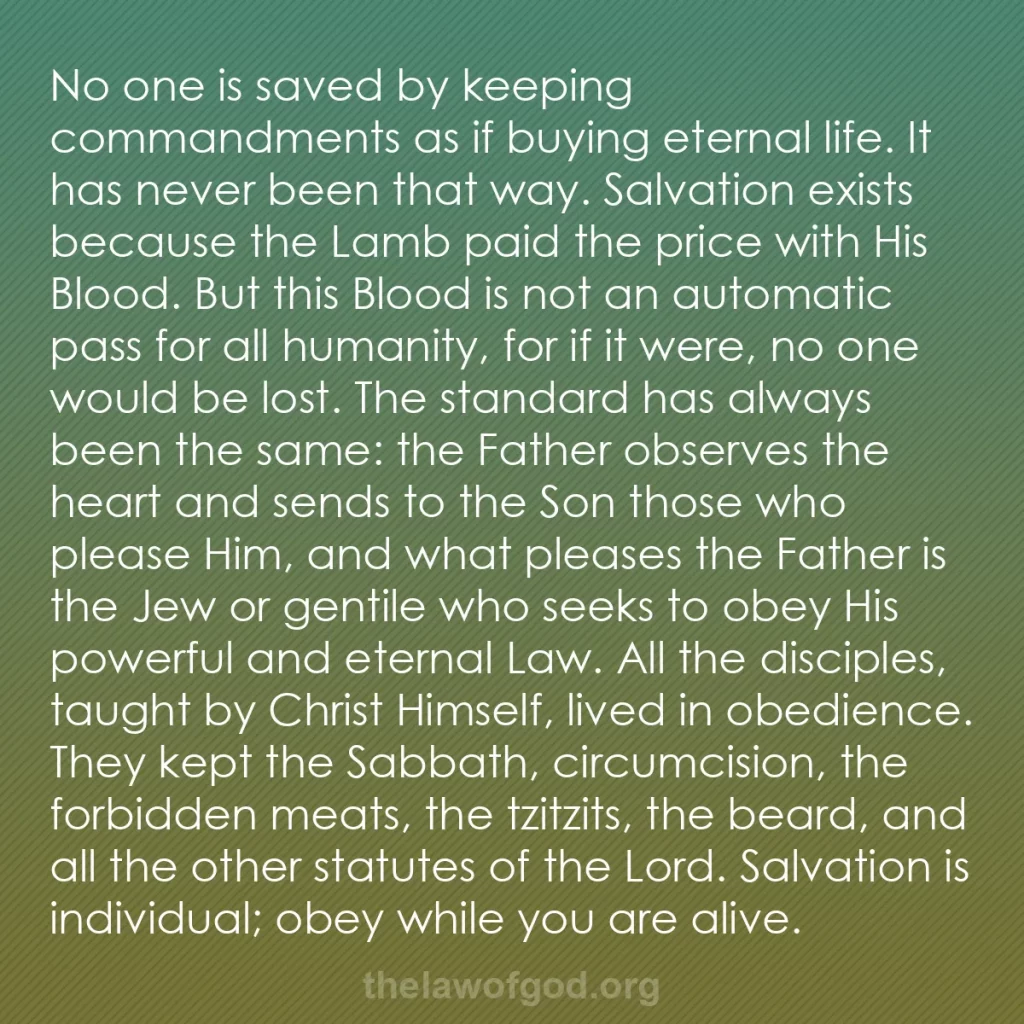 b0223 - Post about the Law of God: No one is saved by keeping commandments as if buying eternal...