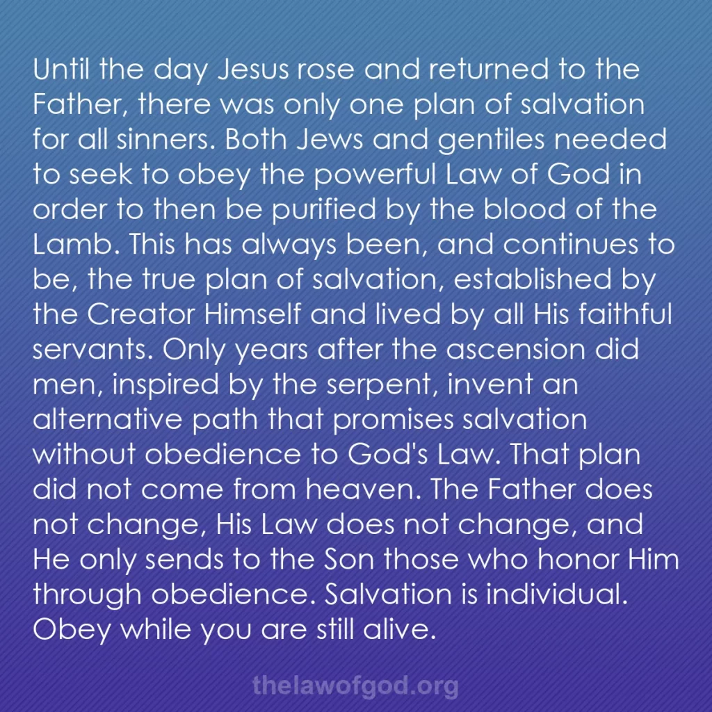 b0227 - Post about the Law of God: Until the day Jesus rose and returned to the Father, there was...