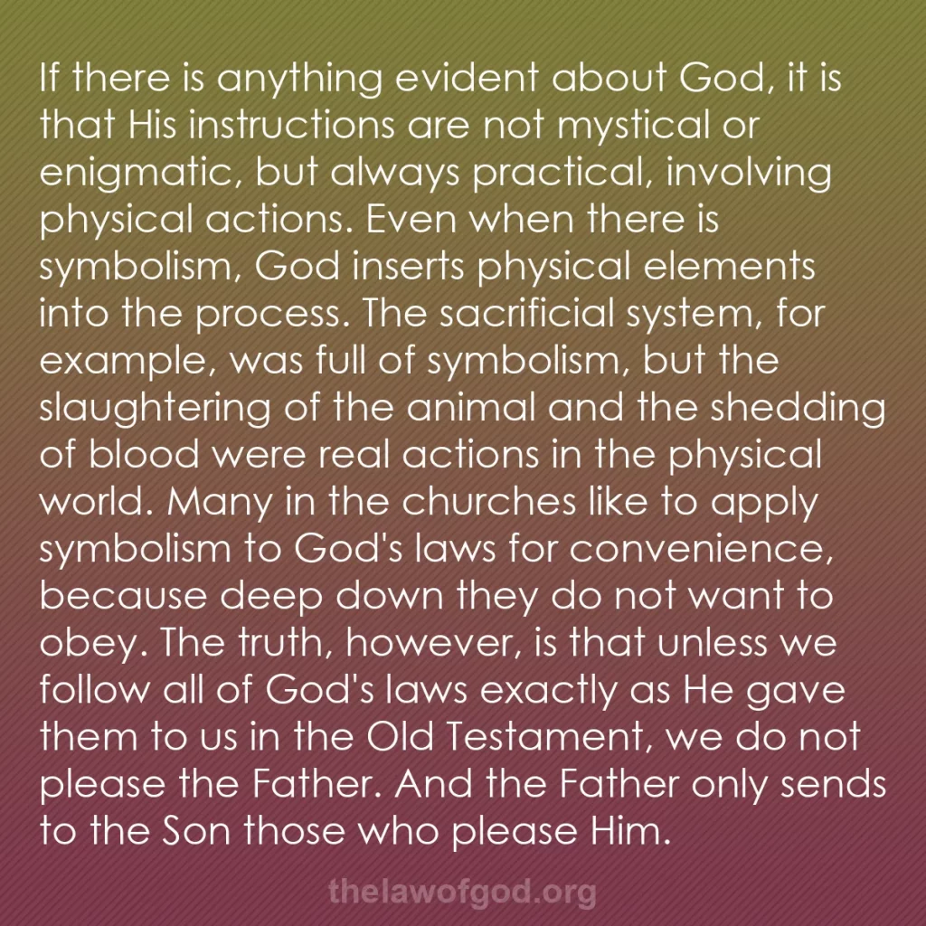 b0228 - Post about the Law of God: If there is anything evident about God, it is that His instructions...