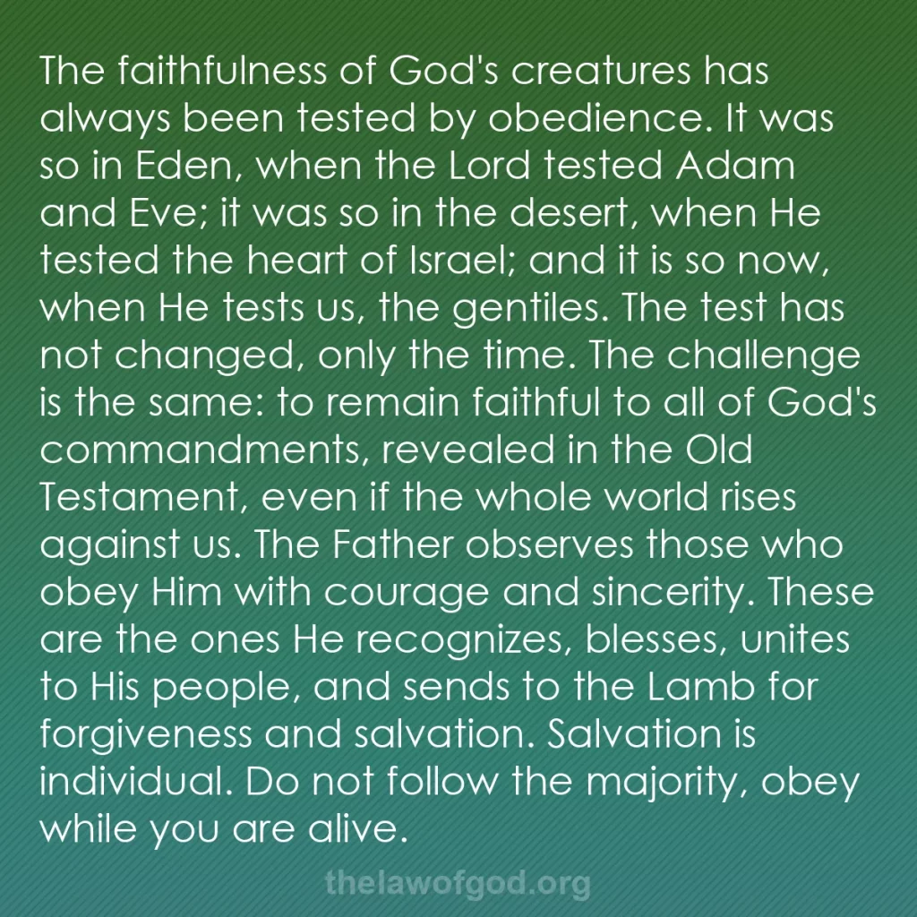 b0230 - Post about the Law of God: The faithfulness of God's creatures has always been tested by...