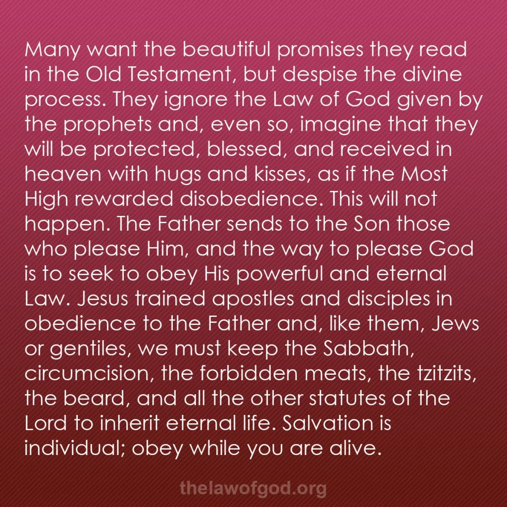b0239 - Post about the Law of God: Many want the beautiful promises they read in the Old Testament,...