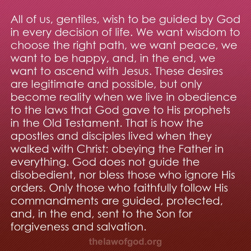 b0259 - Post about the Law of God: All of us, gentiles, wish to be guided by God in every decision...