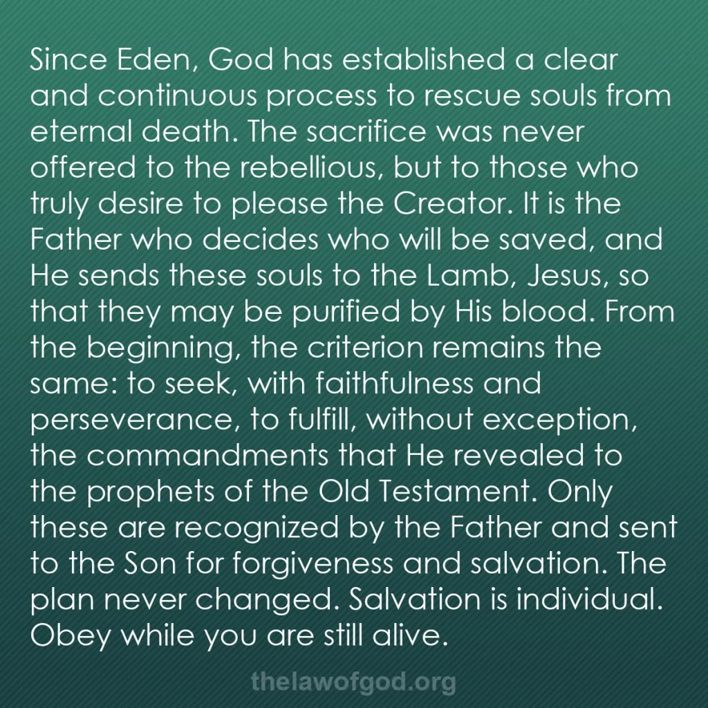 b0260 - Post about the Law of God: Since Eden, God has established a clear and continuous process...