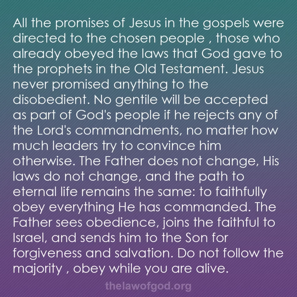 b0264 - Post about the Law of God: All the promises of Jesus in the gospels were directed to the...