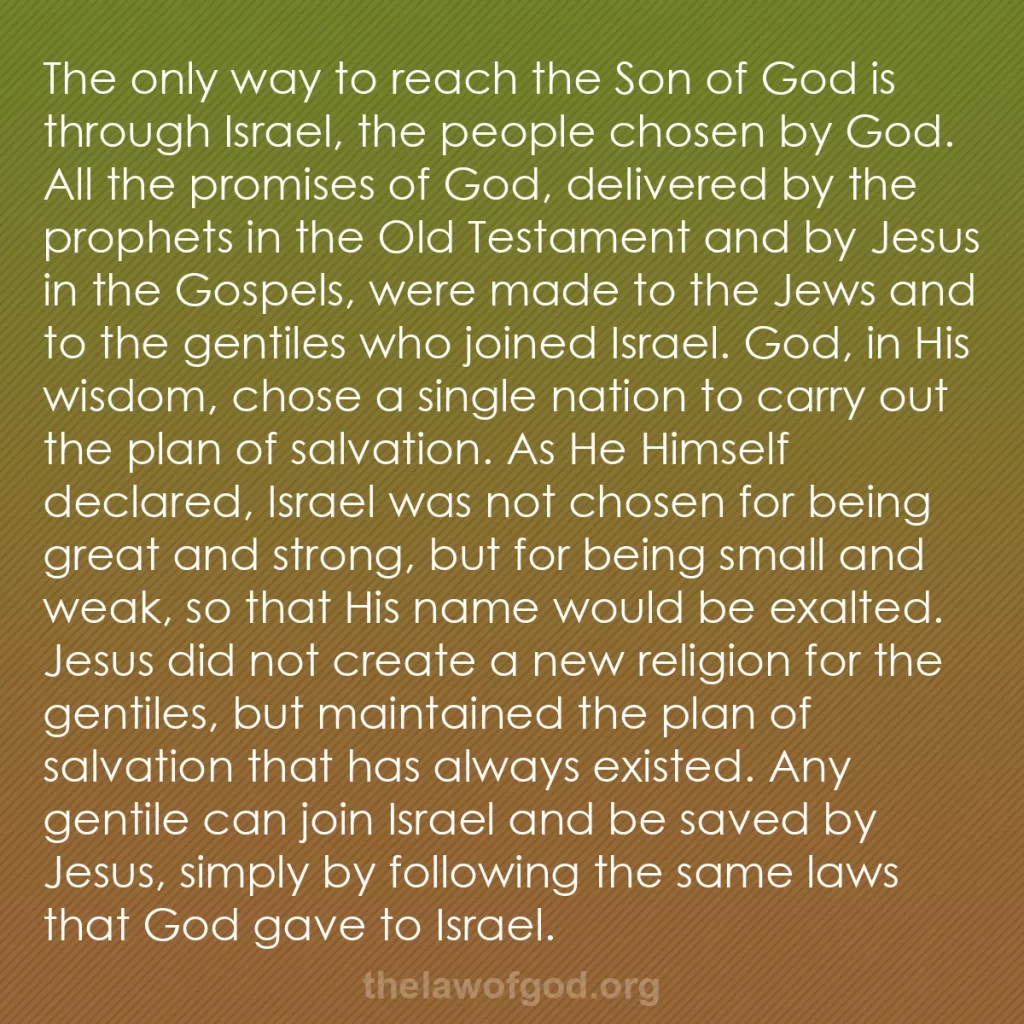 b0269 - Post about the Law of God: The only way to reach the Son of God is through Israel, the...