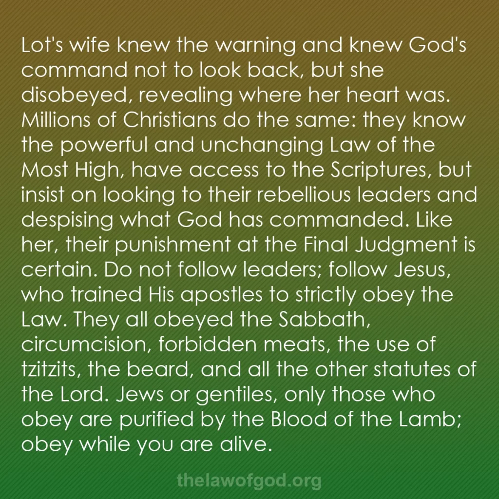 b0276 - Post about the Law of God: Lot's wife knew the warning and knew God's command not to look...