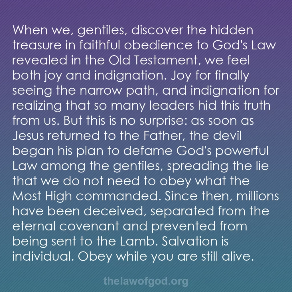 b0282 - Post about the Law of God: When we, gentiles, discover the hidden treasure in faithful...