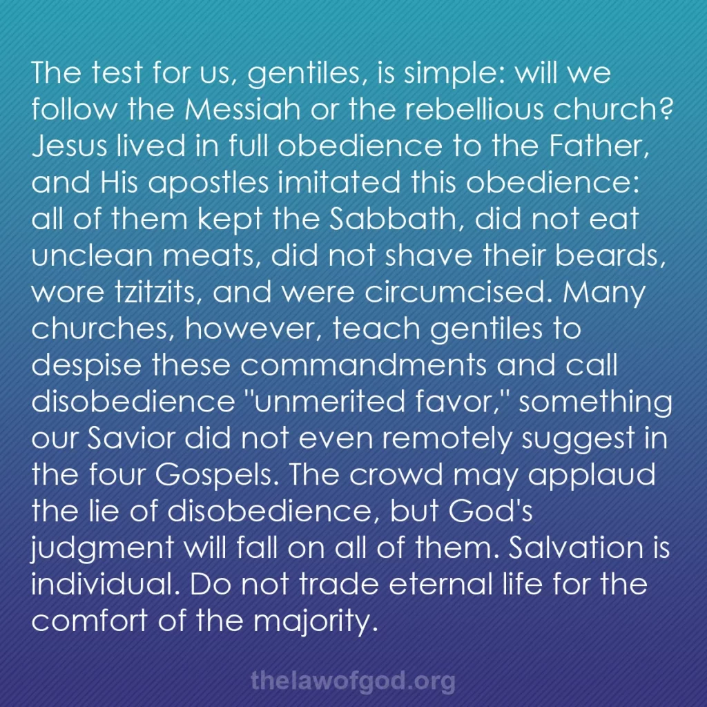 b0295 - Post about the Law of God: The test for us, gentiles, is simple: will we follow the Messiah...