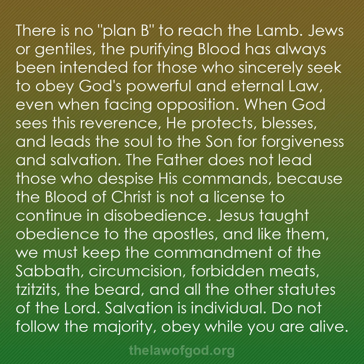 b029 - Post about the Law of God: There is no "plan B" to reach the Lamb. Jews or gentiles, the...