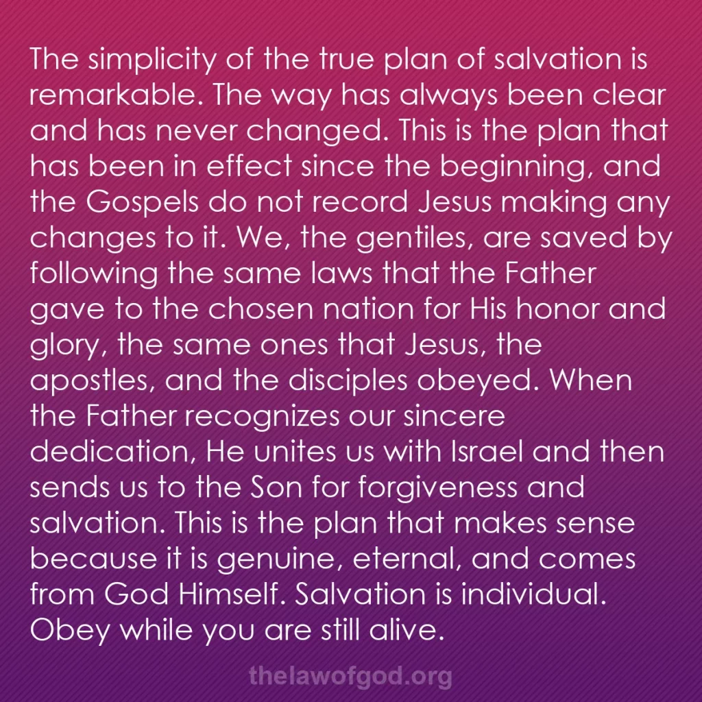 b0301 - Post about the Law of God: The simplicity of the true plan of salvation is remarkable....