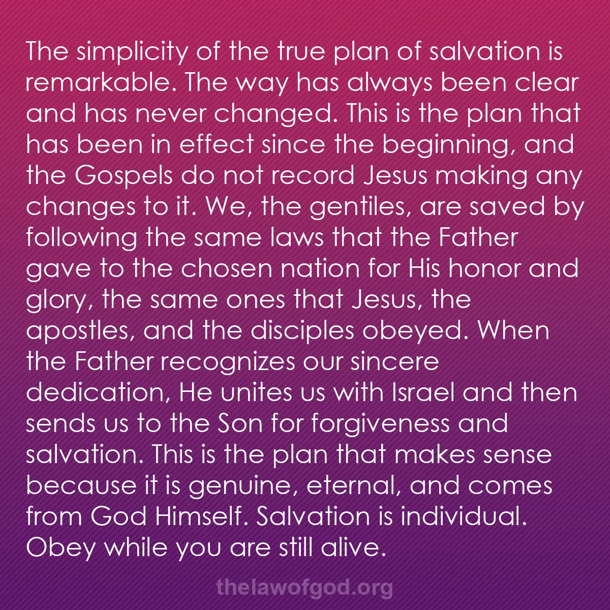 b030 - Post about the Law of God: The simplicity of the true plan of salvation is remarkable....