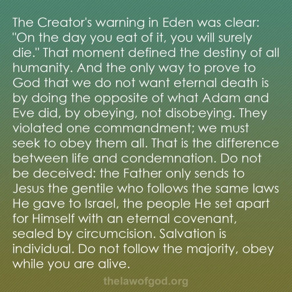 b0303 - Post about the Law of God: The Creator's warning in Eden was clear: "On the day you eat...