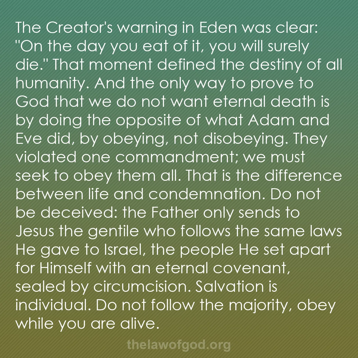 b030 - Post about the Law of God: The Creator