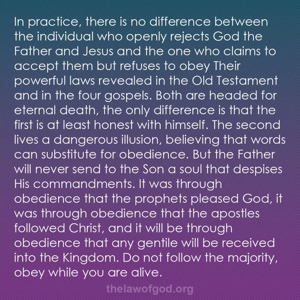 b0314 - Post about the Law of God: In practice, there is no difference between the individual who...