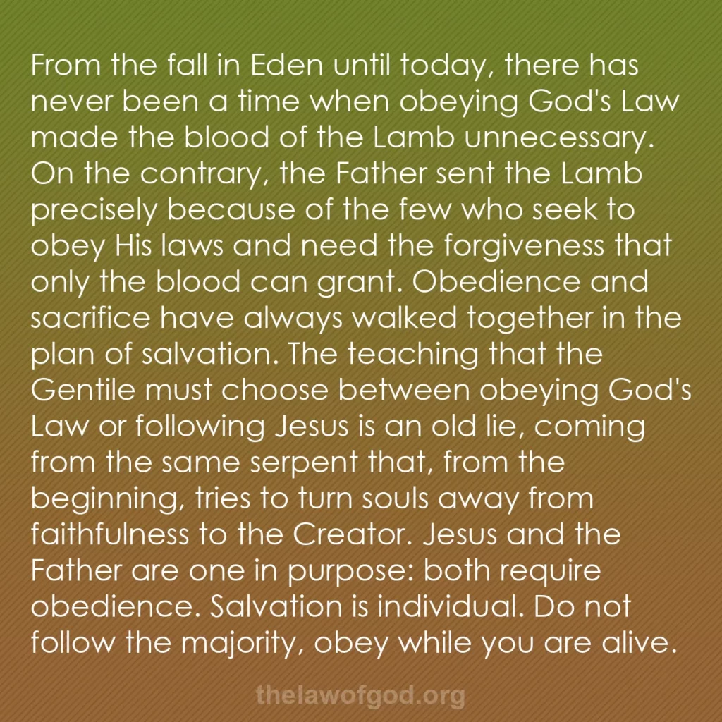 b0329 - Post about the Law of God: From the fall in Eden until today, there has never been a time...