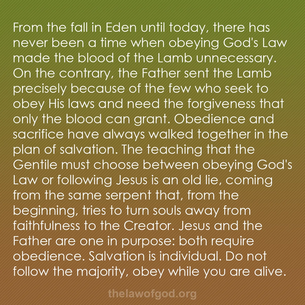 b032 - Post about the Law of God: From the fall in Eden until today, there has never been a time...