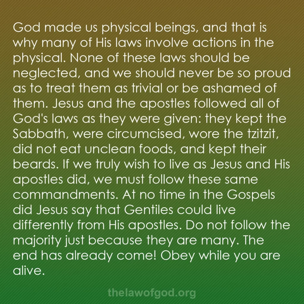 b0336 - Post about the Law of God: God made us physical beings, and that is why many of His laws...