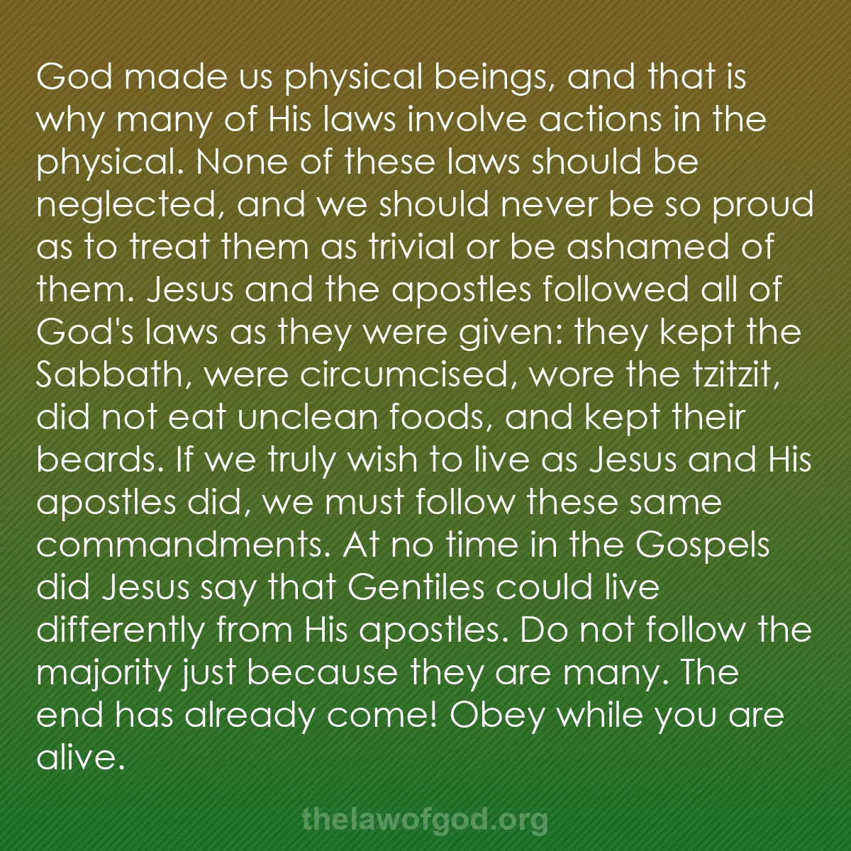 b033 - Post about the Law of God: God made us physical beings, and that is why many of His laws...