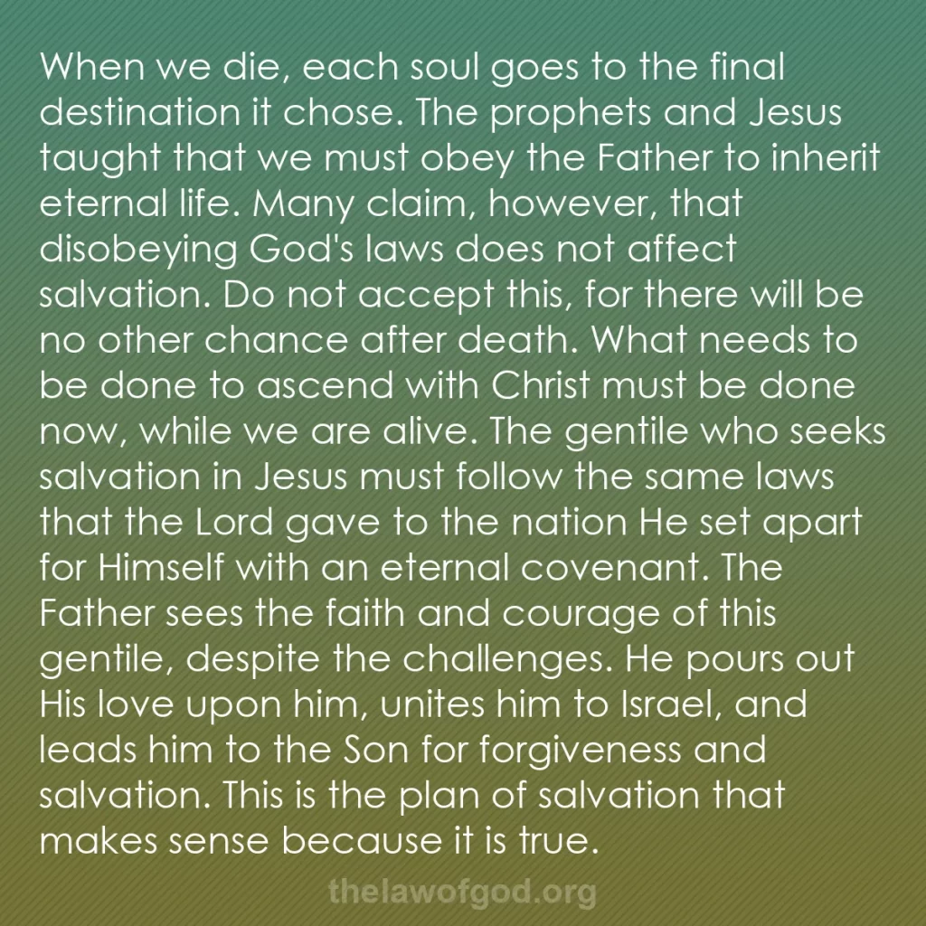 b0343 - Post about the Law of God: When we die, each soul goes to the final destination it chose....